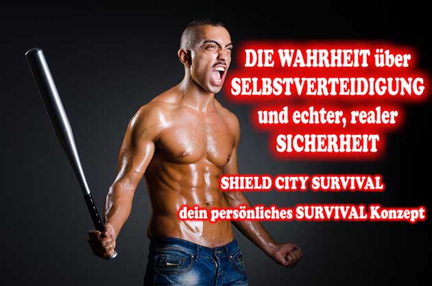 SHIELD basics City Survival